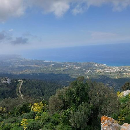 Exotic Hotel & Spa Boghaz Εξωτερικό φωτογραφία