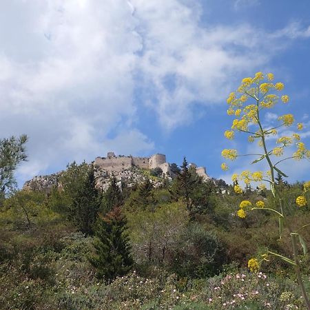 Exotic Hotel & Spa Boghaz Εξωτερικό φωτογραφία