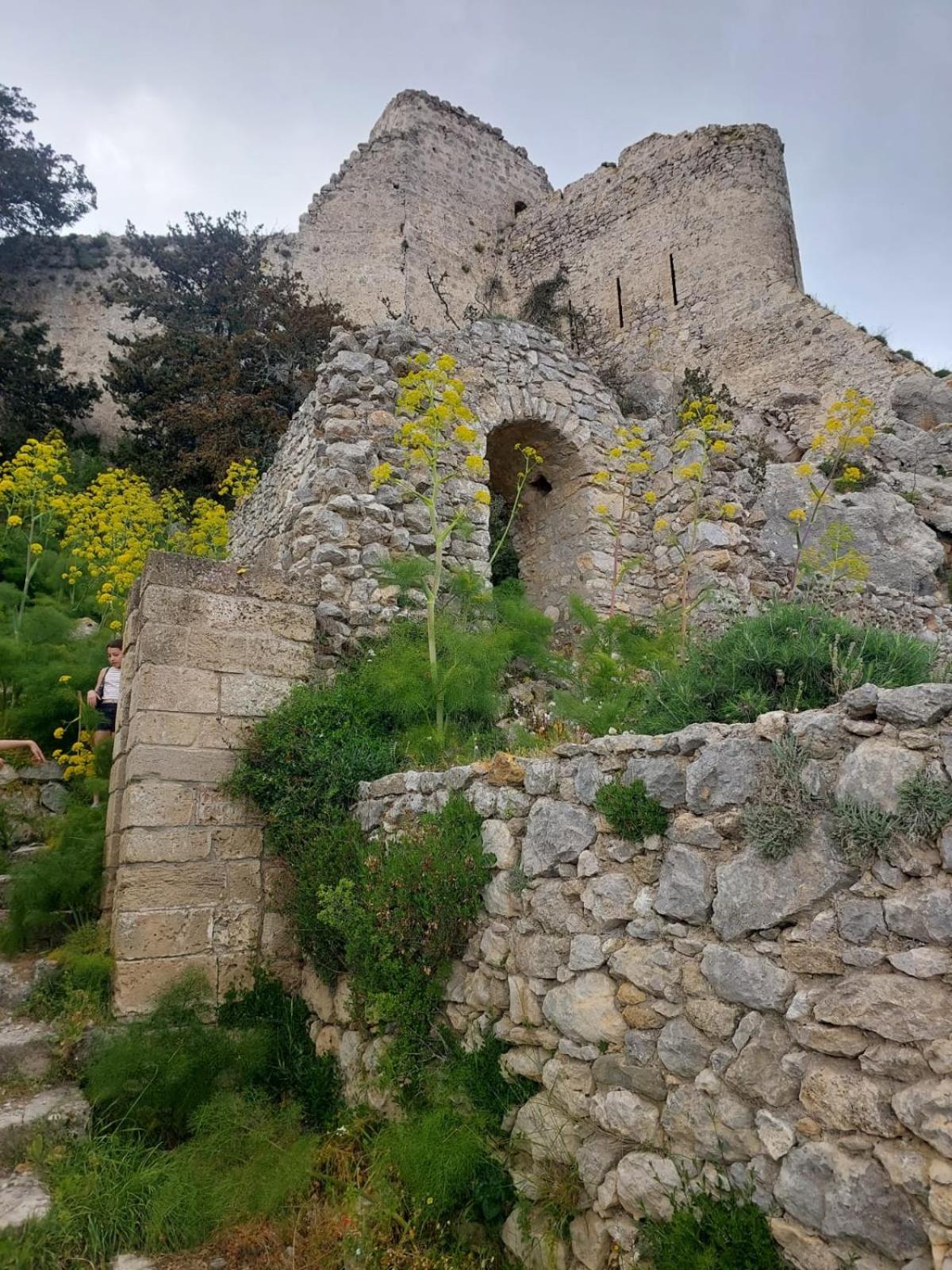 Exotic Hotel & Spa Boghaz Εξωτερικό φωτογραφία
